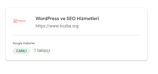 Google News Kaydı