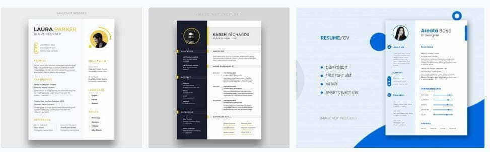 Boş CV PSD