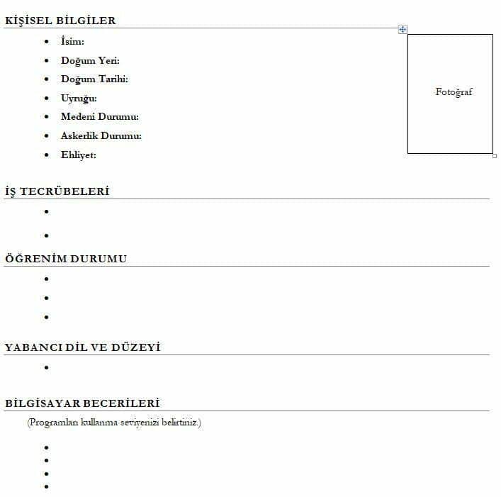 CV Örnekleri Word