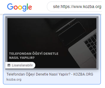 Resim Lisansları