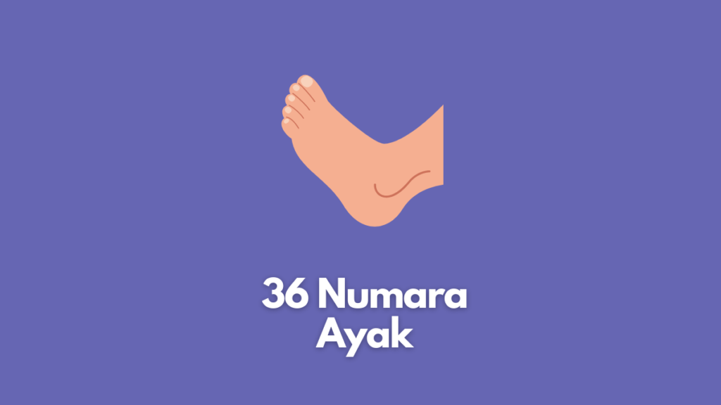 36 Numara Ayak 2022