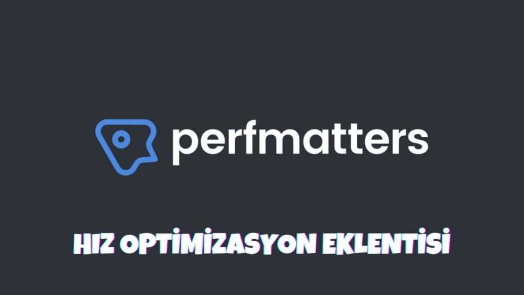 Perfmatters Nedir - 2023