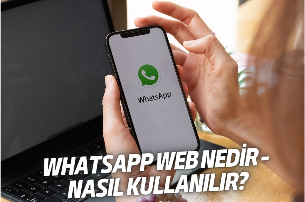 WP Web Nedir