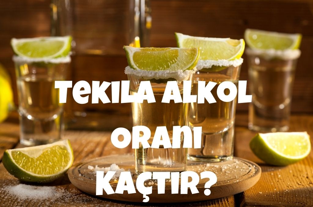 Tekila Alkol Oranı Kaçtır