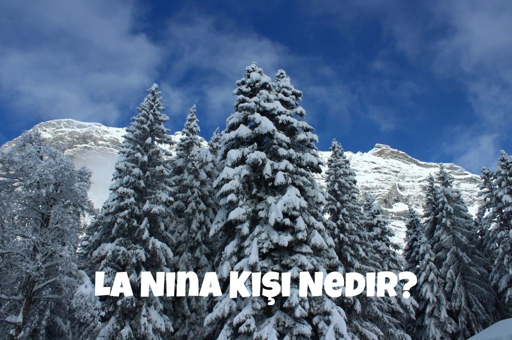 La Nina Kışı Nedir?