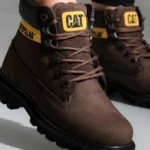Cat Bot Boyanır mı