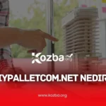 DiyPalletcom.net Nedir - 2025 - KOZBA