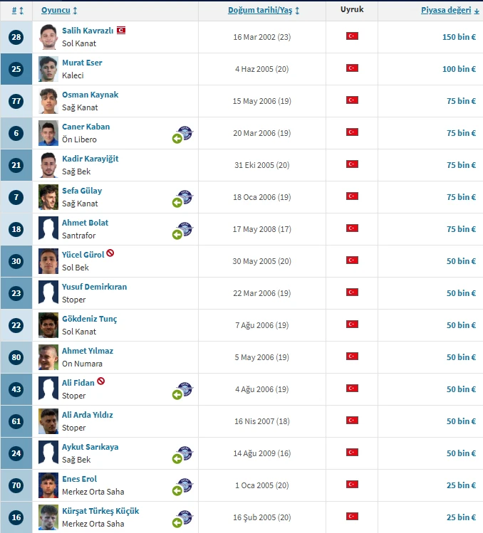 Adana Demirspor Oyuncuları